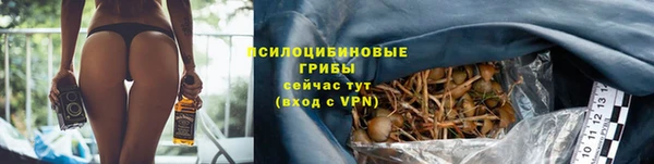 ешки Магадан