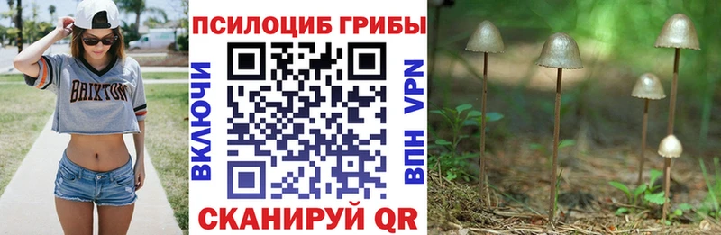 Галлюциногенные грибы MAGIC MUSHROOMS Нальчик