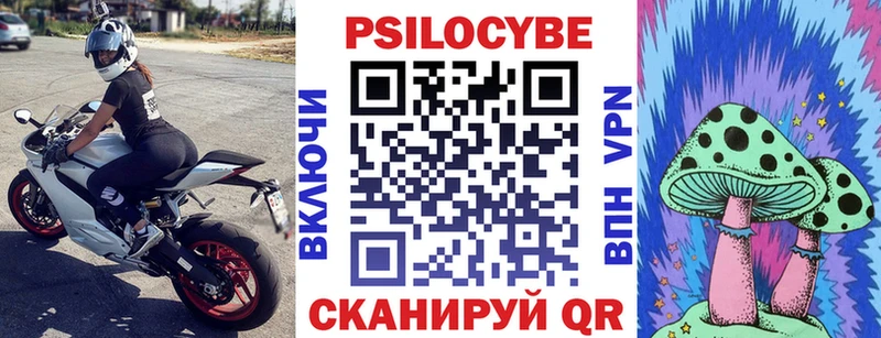 Псилоцибиновые грибы мицелий Нальчик